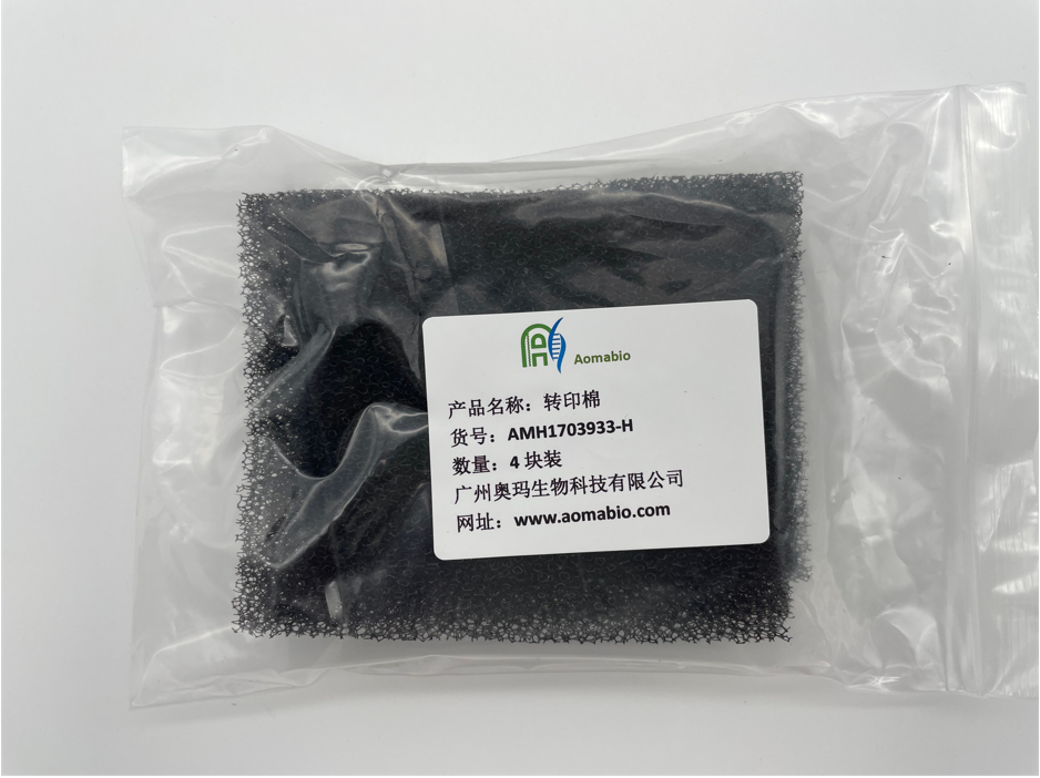 AMH1703933-H，轉(zhuǎn)印棉，4塊裝