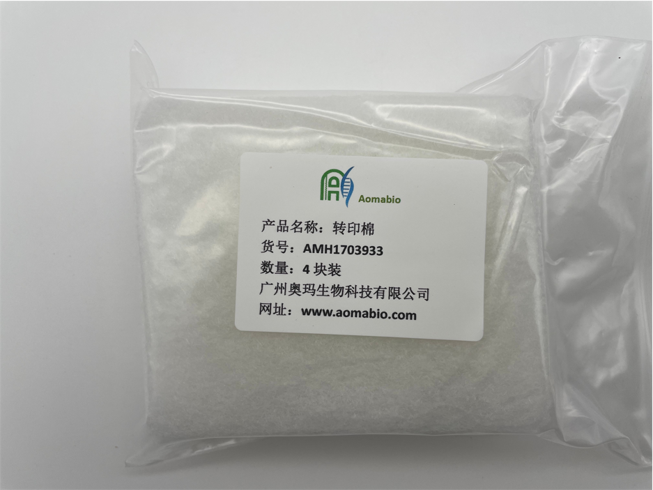 AMH1703933，轉(zhuǎn)印棉，4塊裝