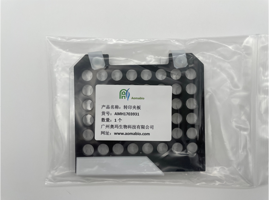 AMH1703931，轉(zhuǎn)印夾板，1個(gè)