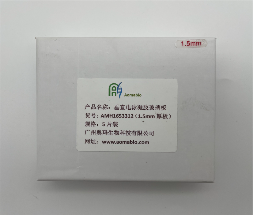 AMH1653312，垂直電泳凝膠玻璃板（1.5mm厚板）5片裝