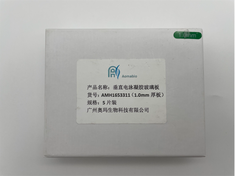 AMH1653311，垂直電泳凝膠玻璃板（1.0mm厚板）5片裝