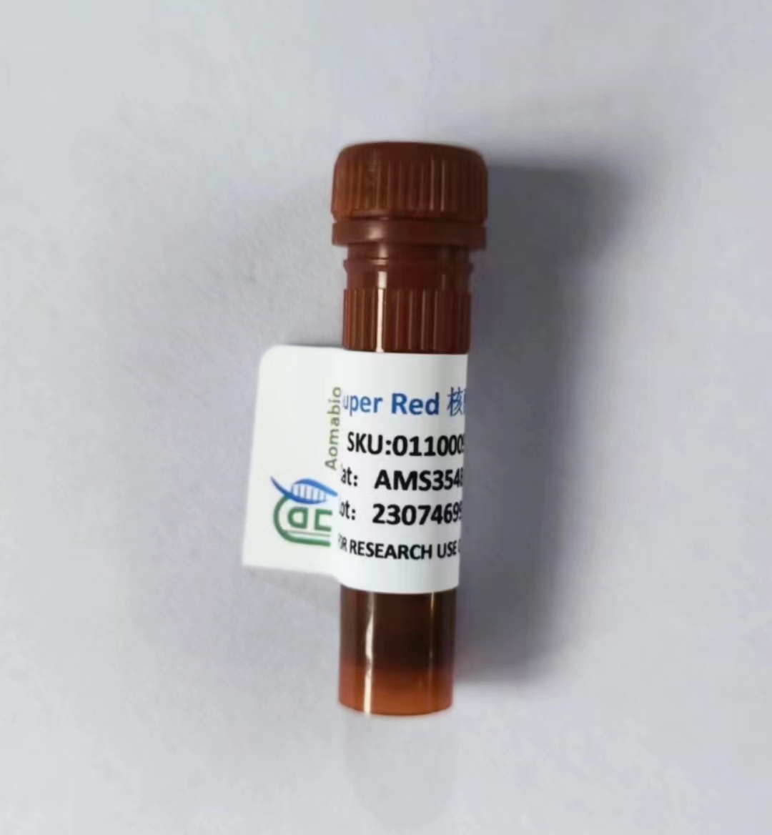 Super Red核酸染料(10,000×H?O) AMS354B -0.5ml